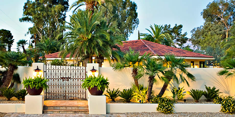 las palmas 1