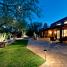 amyz landscape intro 255