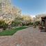 amyz landscape main 128