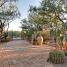 amyz landscape main 154