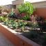kevin osborn project tucson arizona myers landscape 001