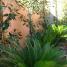 kevin osborn project tucson arizona myers landscape 005