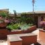 kevin osborn project tucson arizona myers landscape 006