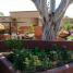 kevin osborn project tucson arizona myers landscape 013