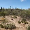 kevin osborn project tucson mountain house after 001
