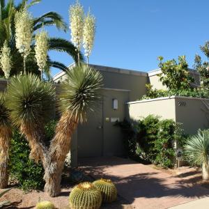 Drachman place